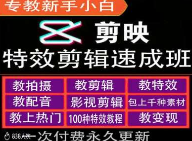 剪映特效教程和运营变现教程，特效剪辑速成班，专教新手小白-葛仙仙资源库