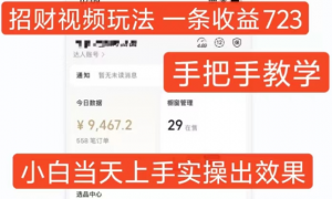 招财视频玩法,一条视频收益723,手把手教学,小白当天可上手-葛仙仙资源库