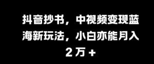 抖音抄书,中视频变现蓝海新玩法,小白亦能月入 过W【揭秘】-葛仙仙资源库