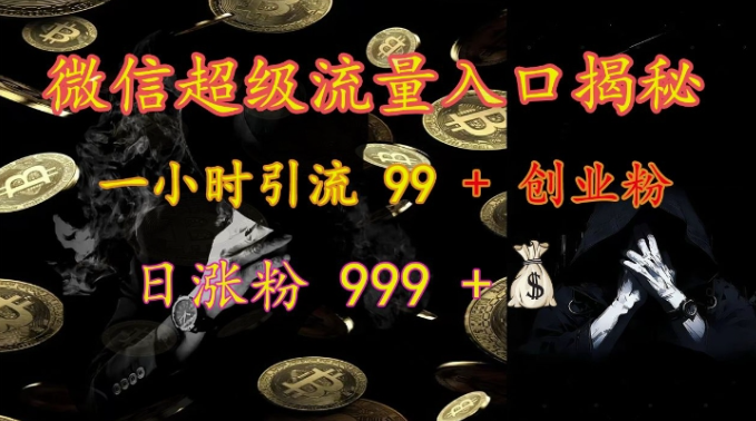 微信超级流量入口揭秘：一小时引流 99 + 创业粉，日涨粉 999 +-葛仙仙资源库