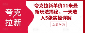 夸克拉新单价11米最新玩法揭秘,一天收入5张实操详解-葛仙仙资源库