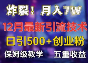 炸裂!揭秘12月最新日引流500+精准创业粉,多重收益保姆级教学-葛仙仙资源库