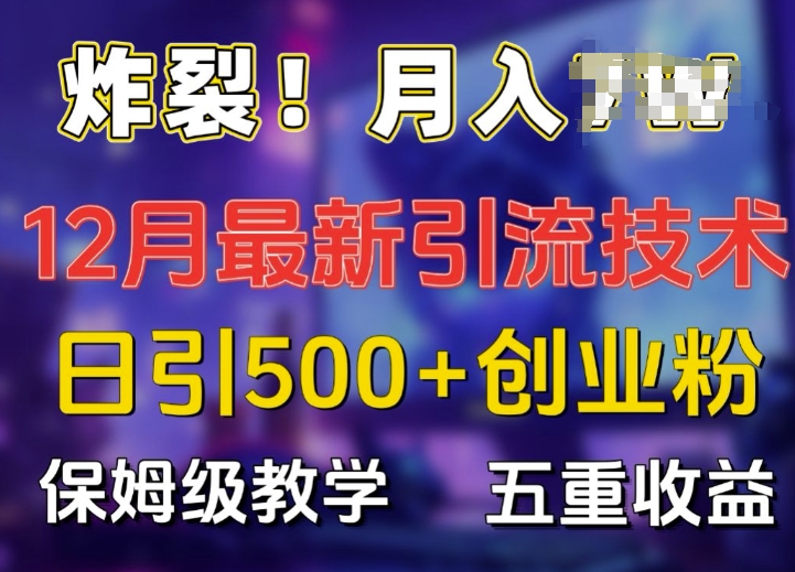 炸裂!揭秘12月最新日引流500+精准创业粉，多重收益保姆级教学-葛仙仙资源库