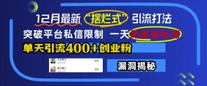 12月最新“摆烂式”引流打法,突破平台私信限制,一天无限发私信,单天引流400+创业粉-葛仙仙资源库