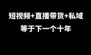 短视频+直播带货+私域等于下一个十年，大佬7年实战经验总结-葛仙仙资源库