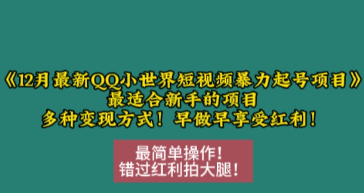 12月最新QQ小世界短视频暴力起号项目，最适合新手的项目，多种变现方式-葛仙仙资源库