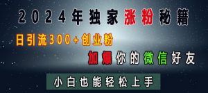 2024年独家涨粉秘籍,日引流300+创业粉,加爆你的微信好友,小白也能轻松上手-葛仙仙资源库