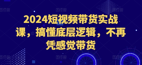 2024短视频带货实战课，搞懂底层逻辑，不再凭感觉带货-葛仙仙资源库