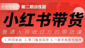 小Red书带货42天训练营 2.0版,宝妈+自由职+上班族+大学生,提高副业收入的大红利项目-葛仙仙资源库