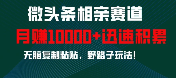 微头条相亲赛道，迅速积累，无脑复制粘贴，野路子玩法，月入1w-葛仙仙资源库