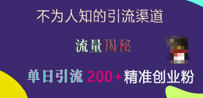 不为人知的引流渠道，流量揭秘，实测单日引流200+精准创业粉【揭秘】-葛仙仙资源库
