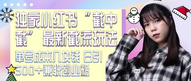 最新小红书截流玩法 独家截中截 单号成本几块钱 日引500+CY粉JZ粉-葛仙仙资源库