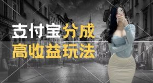 支付宝分成计划新玩法，利用交通事故视频，赚收益，轻松月入过W，操作简单【揭秘】-葛仙仙资源库