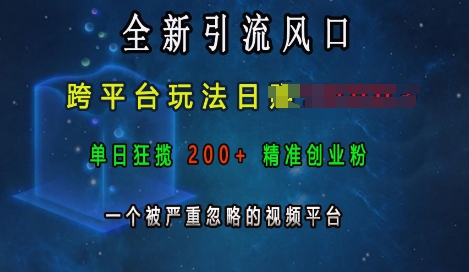 全新引流风口，跨平台玩法日入上k，单日狂揽200+精准创业粉，一个被严重忽略的视频平台-葛仙仙资源库