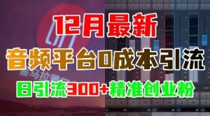 12月最新:音频平台0成本引流,日引流300+精准创业粉-葛仙仙资源库
