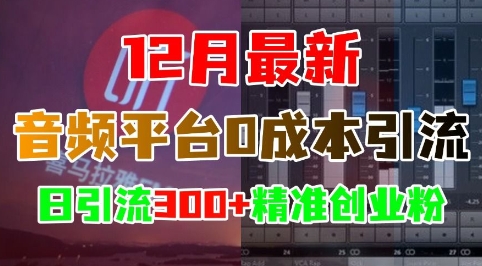 12月最新：音频平台0成本引流，日引流300+精准创业粉-葛仙仙资源库