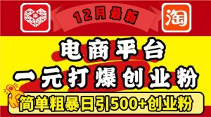 12月最新：电商平台1元打爆创业粉，简单粗暴日引500+精准创业粉，轻松月入过W【揭秘】-葛仙仙资源库