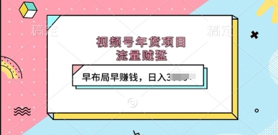 视频号年货项目，流量贼猛，早布局早挣钱，日入上k【揭秘】-葛仙仙资源库