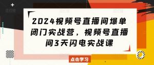 2024视频号直播间爆单闭门实战营,视频号直播间3天闪电实战课-葛仙仙资源库