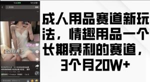 成人用品赛道新玩法,情趣用品一个长期暴利的赛道,3个月收益20个【揭秘】-葛仙仙资源库