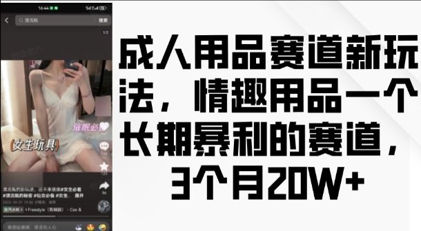 成人用品赛道新玩法，情趣用品一个长期暴利的赛道，3个月收益20个【揭秘】-葛仙仙资源库
