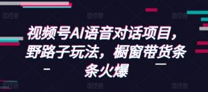 视频号AI语音对话项目,野路子玩法,橱窗带货条条火爆-葛仙仙资源库