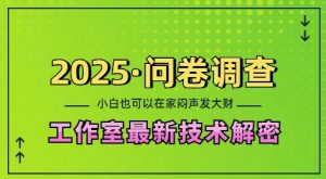 2025问卷调查最新工作室技术解密:一个人在家也可以闷声发大财,小白一天2张,可矩阵放大【揭秘】-葛仙仙资源库