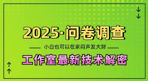 2025问卷调查最新工作室技术解密：一个人在家也可以闷声发大财，小白一天2张，可矩阵放大【揭秘】-葛仙仙资源库