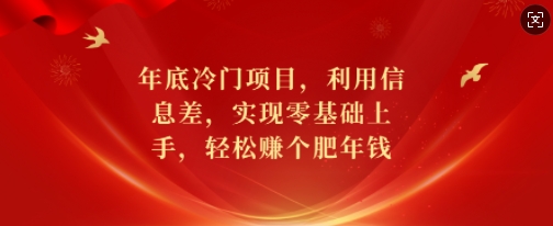 年底冷门项目，利用信息差，实现零基础上手，轻松赚个肥年钱【揭秘】-葛仙仙资源库
