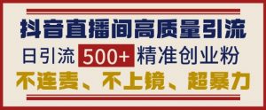 抖音直播间引流创业粉,无需连麦、不用上镜、超暴力,日引流500+高质量精准创业粉-葛仙仙资源库