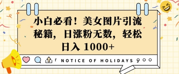 小白必看，美女图片引流秘籍，日涨粉无数，轻松日入几张【揭秘】-葛仙仙资源库