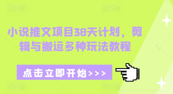 小说推文项目38天计划，剪辑与搬运多种玩法教程-葛仙仙资源库