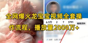 全网爆火龙宝宝视频全套操作流程,播放量2000万+-葛仙仙资源库