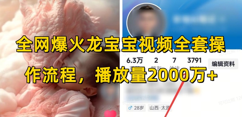 全网爆火龙宝宝视频全套操作流程，播放量2000万+-葛仙仙资源库