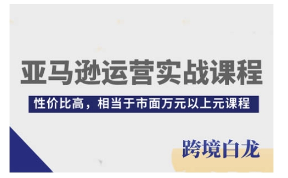 亚马逊运营实战课程，亚马逊从入门到精通，性价比高，相当于市面万元以上元课程-葛仙仙资源库