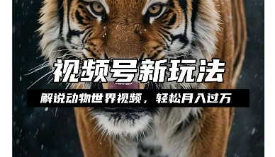 利用动物世界解说视频，赚分成计划收益，轻松月入过W，操作简单【揭秘】-葛仙仙资源库