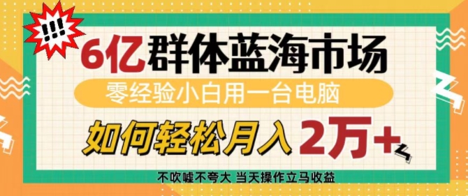 6亿群体蓝海市场，零经验小白用一台电脑，如何轻松月入过w【揭秘】-葛仙仙资源库