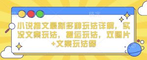 小说推文最新多种玩法详解,实况文案玩法,搬运玩法,双图片+文案玩法等-葛仙仙资源库
