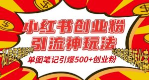 小红书创业粉引流神玩法,单图笔记引爆500+精准创业粉丝,私信狂潮接连不断-葛仙仙资源库