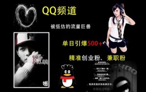 QQ频道:被低估的流量巨兽,单日引爆500+精准创业粉、兼职粉的引流秘籍-葛仙仙资源库