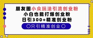 朋友圈小众玩法引流创业粉,小白也能打爆创业粉,日引300+精准创业粉【揭秘】-葛仙仙资源库