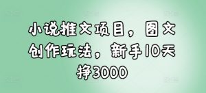 小说推文项目,图文创作玩法,新手10天挣3000-葛仙仙资源库