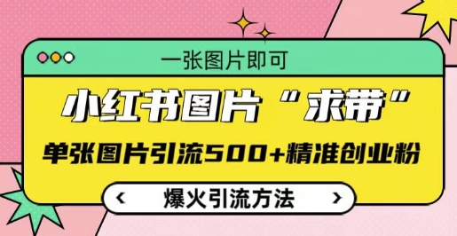 小红书图片‘求带’爆火引流法，单张图片引流500+精准创业粉【揭秘】-葛仙仙资源库