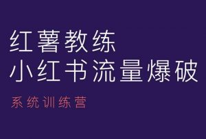 红薯教练-小红书内容运营课,小红书运营学习终点站-葛仙仙资源库