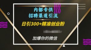 内部招聘渠道日引流300+创业粉,加爆你的微信【揭秘】-葛仙仙资源库