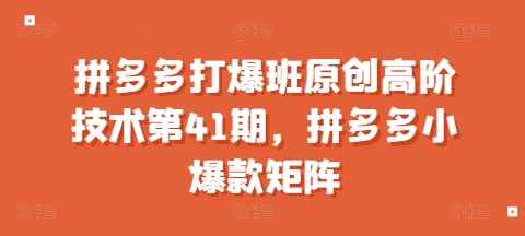 拼多多打爆班原创高阶技术第41期，拼多多小爆款矩阵-葛仙仙资源库