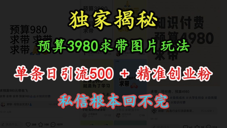 预算3980求带 图片玩法，单条日引流500+精准创业粉，私信根本回不完-葛仙仙资源库