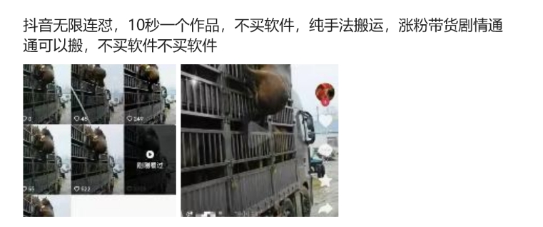 抖音无限连怼，10秒一个作品不买软件，纯手法搬运，涨粉带货剧情通通可以搬-葛仙仙资源库