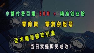小额付费引爆 300 + 精准创业粉,零剪辑、零复杂起号,话术撬动被动引流,当日实操即见成效-葛仙仙资源库