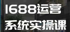 1688高阶运营系统实操课,快速掌握1688店铺运营的核心玩法-葛仙仙资源库